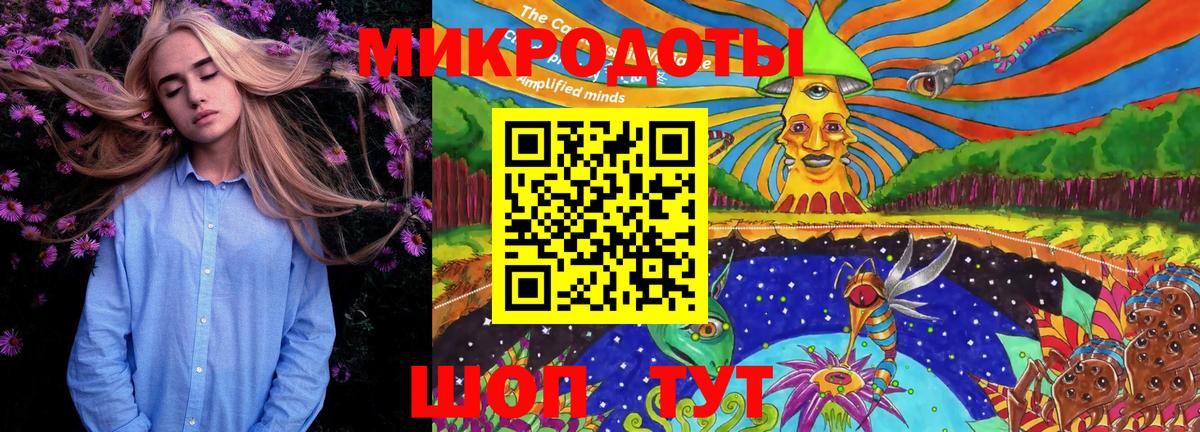 Тобольск  Псилоцибиновые грибы MAGIC MUSHROOMS  Вход с VPN  Галлюциногенные грибы Psilocybe 