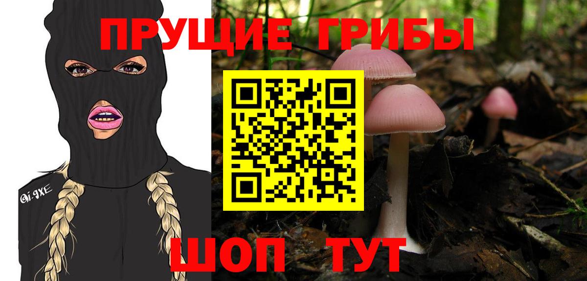 Галлюциногенные грибы Magic Shrooms Тобольск